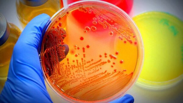 Asia-Pacific Market is Expected to Witness the Fastest Growth in Microbial Identification Market