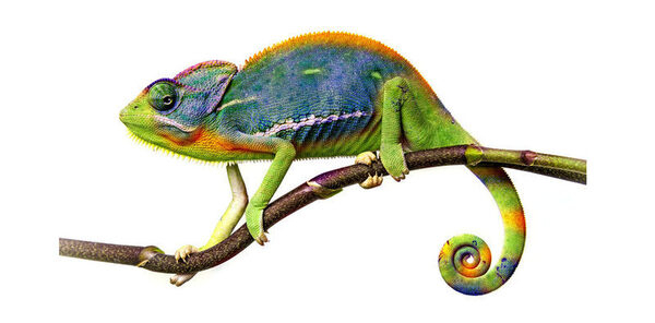 ���������� ��-������ �������� �����������