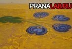 Prana Group      