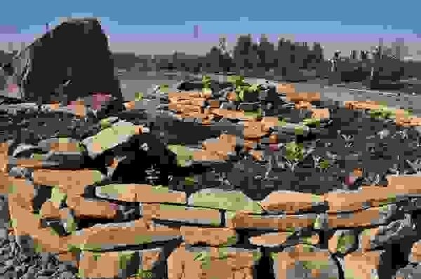 ����-��� ������ ������