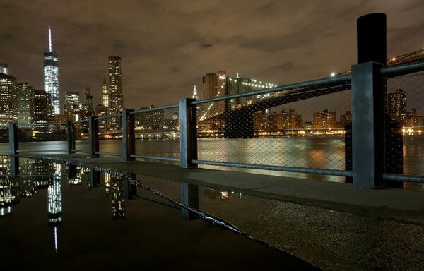 ,    Hop-On, Hop-Off  -   Gray Line  CitySights,     20     