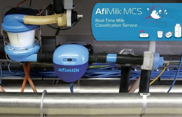 Afimilk               (World Dairy Expo)