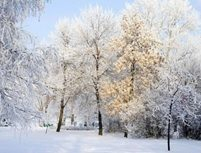 Зима будет холодной, а расходы на топливо – существенными