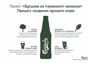 Carlsberg Group         