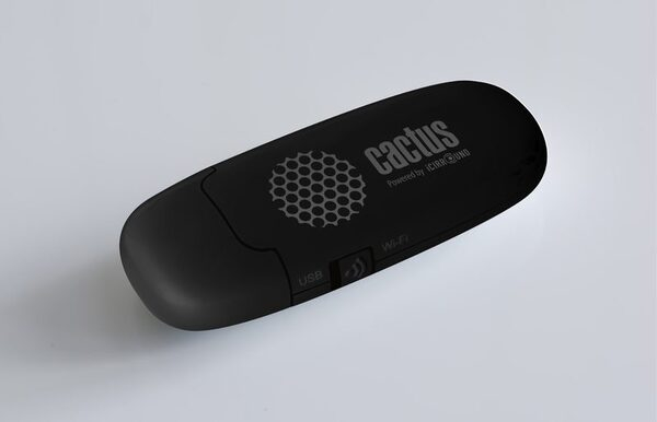 Облачное хранилище СACTUS iShowDrive