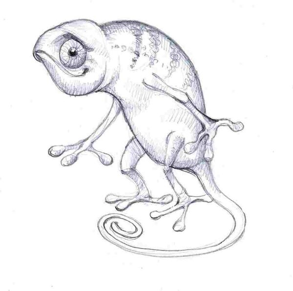 ���� ������� ��������� SketchClub