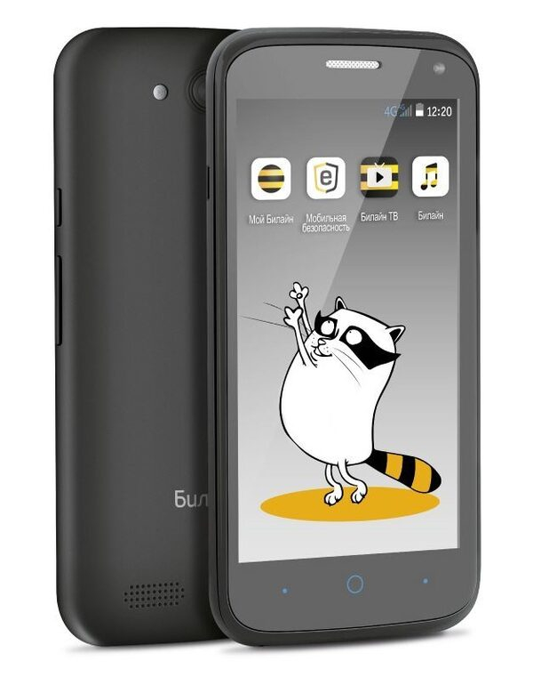 ���� ����� ���������