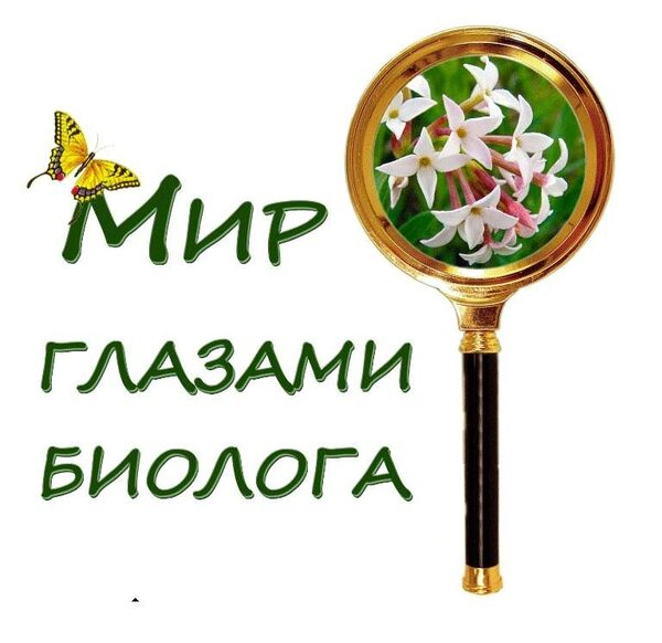 � ����� ��� ����� ������������ ���� ������� �������