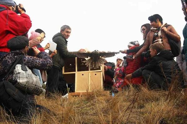 14 ������������� ������� �������� �� ������� ���������� �����