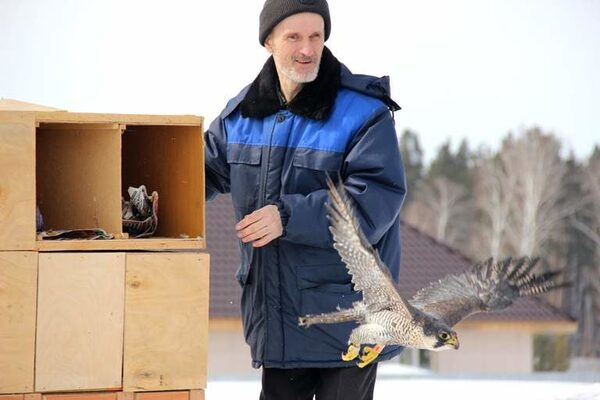 14 ������������� ������� ��������� � ������� ���������� �����