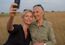 Только летом на «STV» звездные уроки!