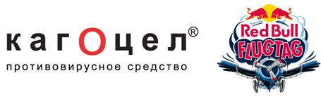  -      Red Bull Flugtag