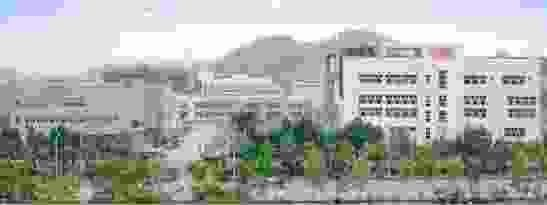 DuPont Montelli(R)  10- 