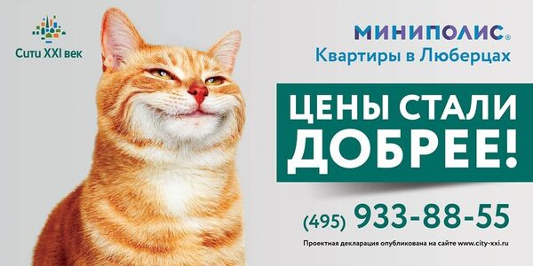   :  5%       -XXI 