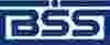 ������� �������� BSS: �������� BSS ��������� ���������� ������� ������� �����������