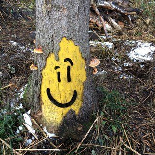 ��������� ��������� ��������� ������������ ���