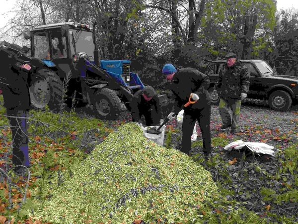 � �������� ������ ������� � ������� ���������� ����������� �������� ������