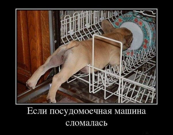 Ремонт посудомоечных машин