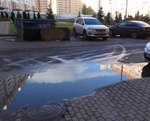 Спасли от потопа