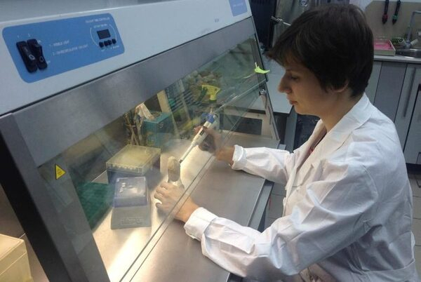 ������ ��� ����������� ������ �������� ��������� ������� �������� ��������������