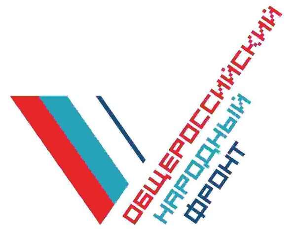 Никитина: Надо расширять возможности информационной системы госзакупок для их более эффективного контроля