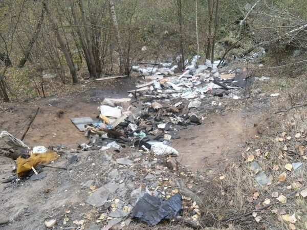 Благодаря порталу «Свалок.нет» убрано более  100 свалок в Подмосковье