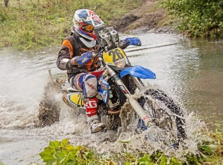 20   - SEXTON      - 