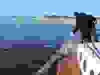 ��������� ���� ������� �������� �������������� �������� � ������� ����������������