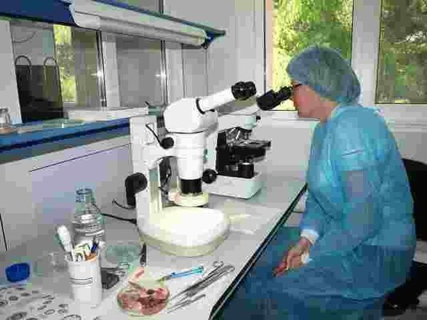 ������� �������������� ��� 15-�� ���������