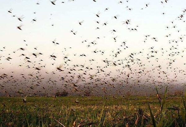 ������� ���� ������ ������������� � ��������� �������