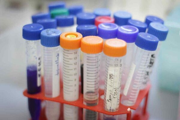 � ��� ��������� ������ � ������ ������� ������������ ������ ����������