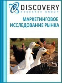      (   - )