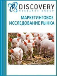      (   - )