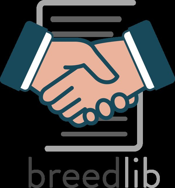 �������������� ���������� ���������� � ������ ������ �� �������� ������ � �����������