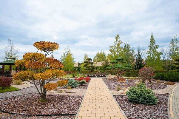 ��� � ���: ������ ���� ��������� � ������� ����������� ��������