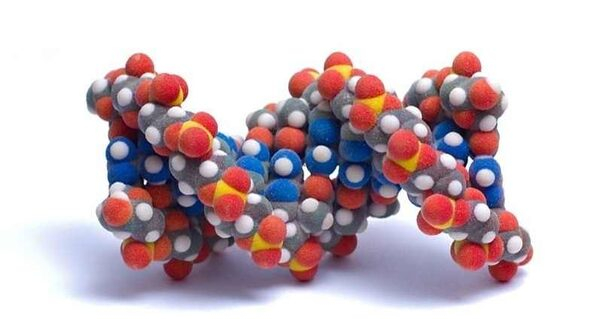 ������ ��� ��������� ��������� ����� ����� ��������