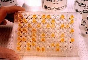 � ��������� ����������� ������������ ����������� ������������ �������� ���� � ������-������� 2016 �