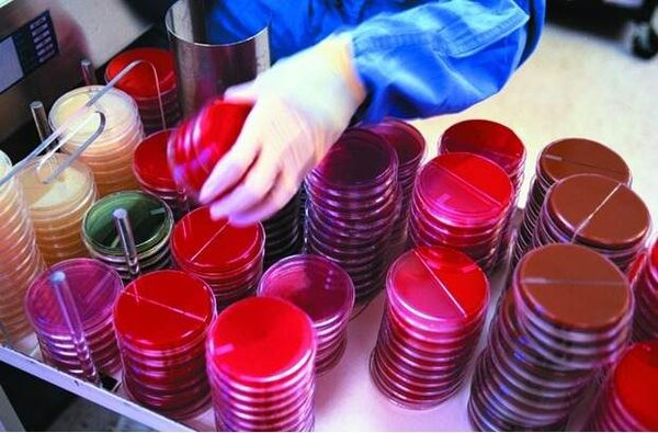 � ����������� ������ ����������� ����������� �������� ��� ���� ������ƻ �� ������ 2016 �