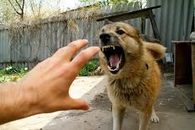 � ������� ��������� ��������� �������� �� ������������ �������