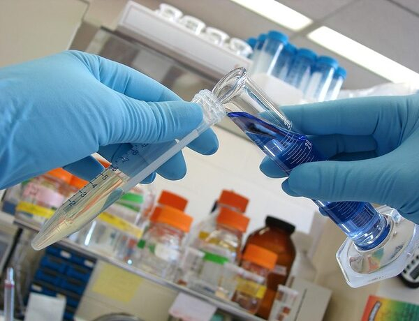 �� ������� ����������� ���� ������ƻ � ������ ��������� ������������