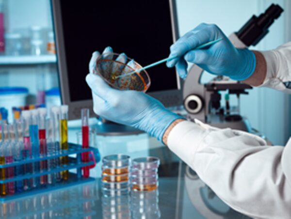 �� ������� ����������� ������� ���� ������ƻ � ���������� ���� � ���������������� ��������