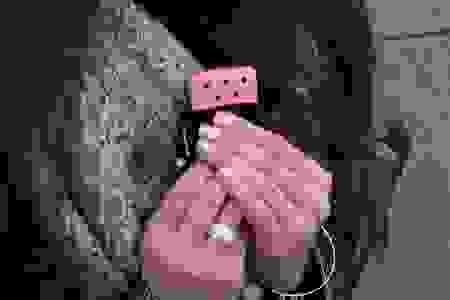       Zippo