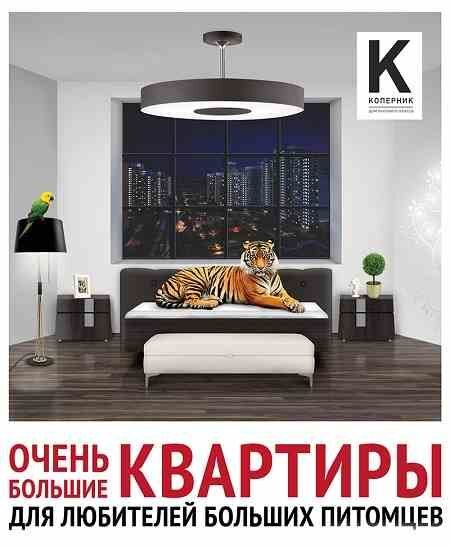 ������������� �������� 