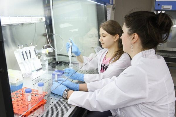 ��� �������� ���� ����������� � ���������� ��������� QS