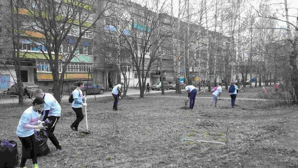Народный дозор организовал субботник