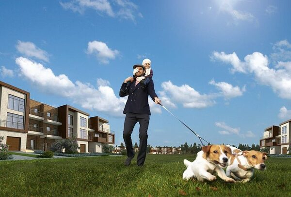 ���� ������: ��� �������� ���������� � ��������