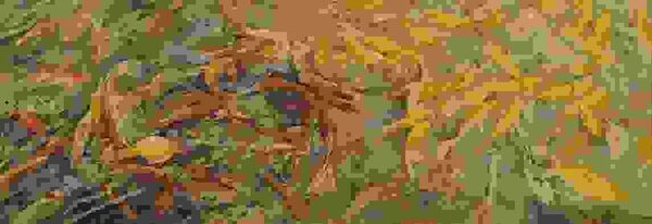 ��������� ������. �������� � ������������ ����� ���