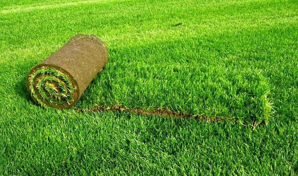 Укладка рулонного газона