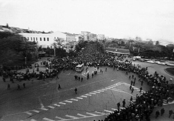 ������ ������������. 25 ��� �������������