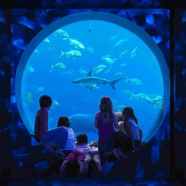      Atlantis the Palm